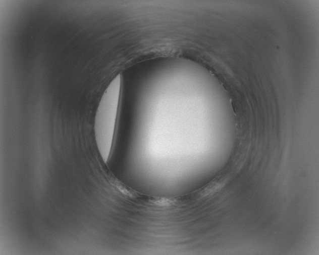 X0000071840432200606301108
