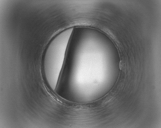 X0000071840434200606301108