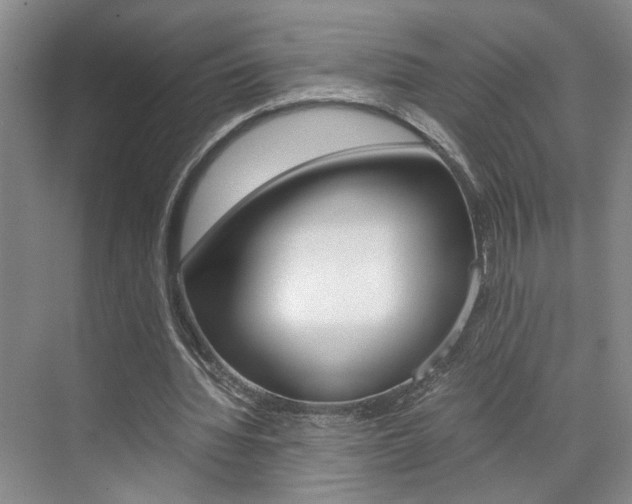 X0000071840436200606301108