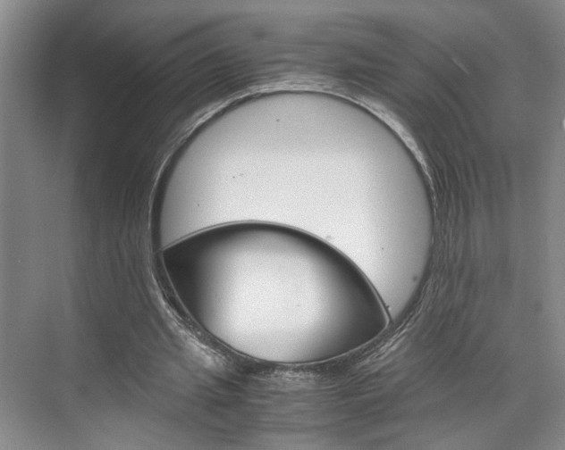 X0000071840437200606301108