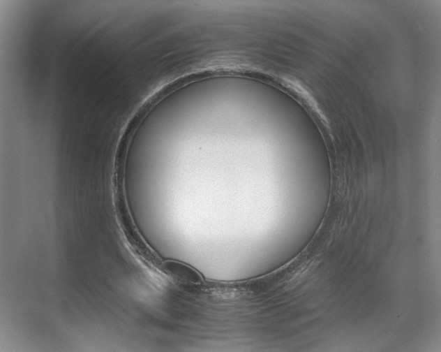 X0000071840439200606301108