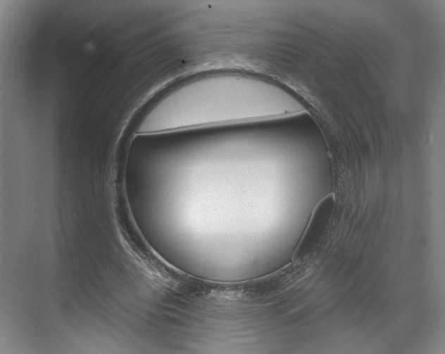 X0000071840440200606301108