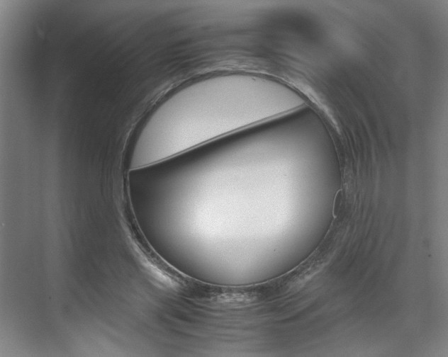 X0000071840445200606301108