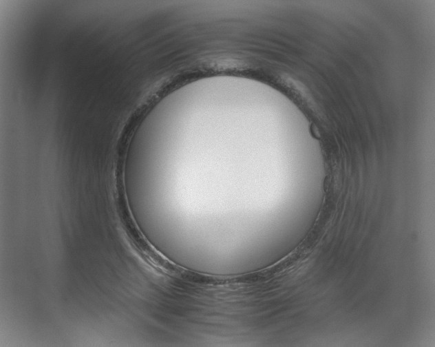 X0000071840447200606301108
