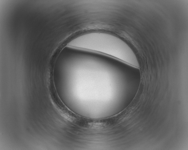 X0000071840448200606301108