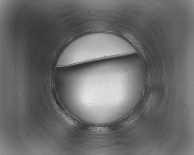 X0000071840449200606301108