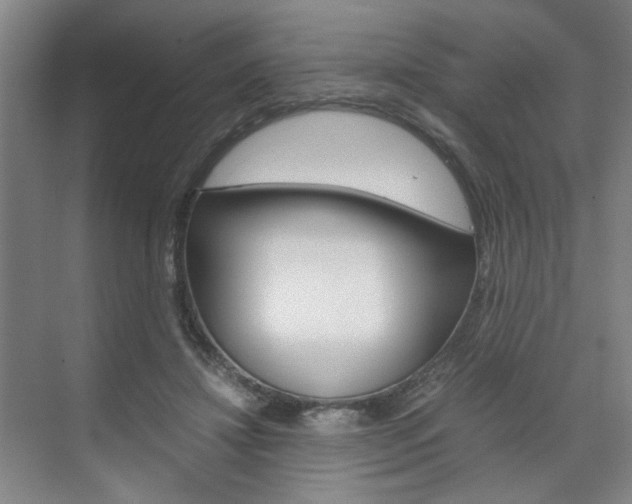 X0000071840452200606301108