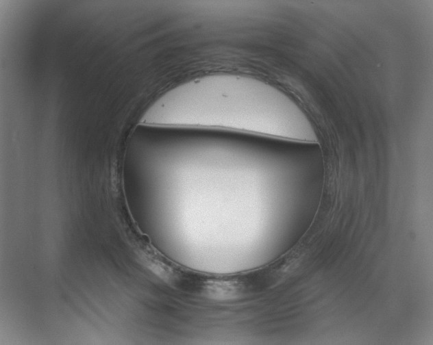 X0000071840457200606301108