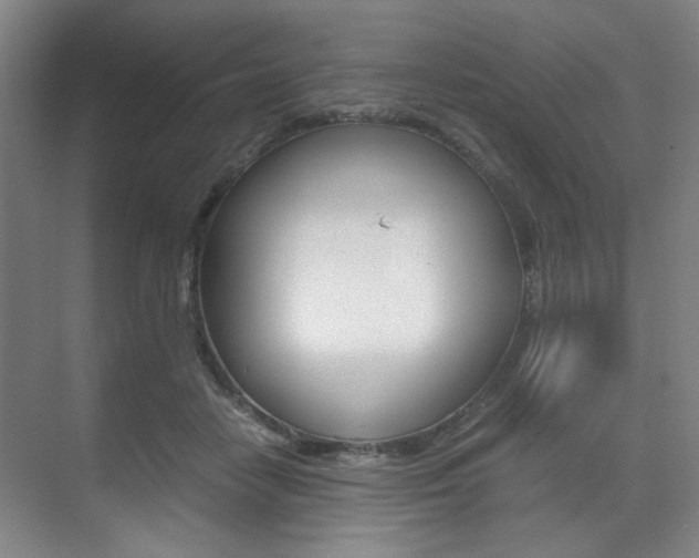 X0000071840458200606301108