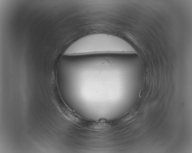 X0000071840459200606301108