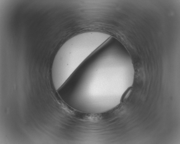 X0000071840466200606301108