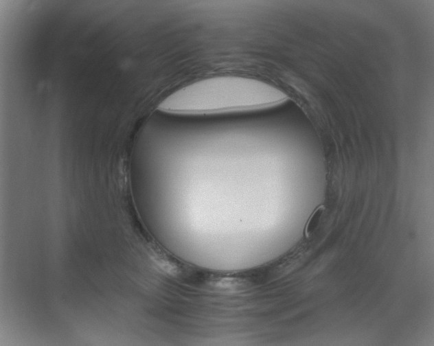 X0000071840467200606301108