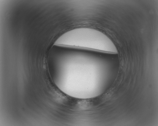 X0000071840470200606301108