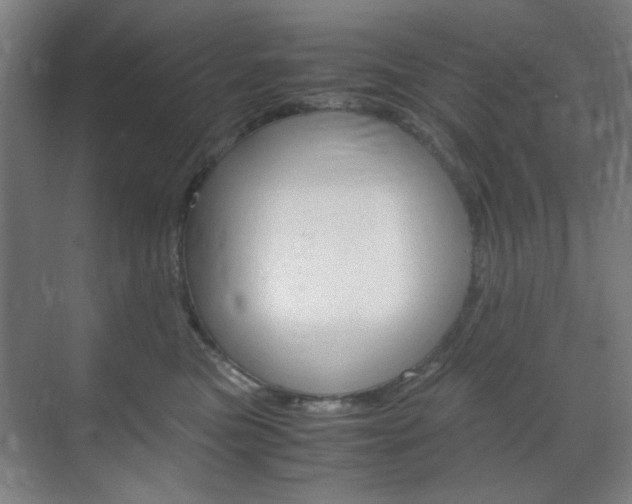 X0000071840473200606301108