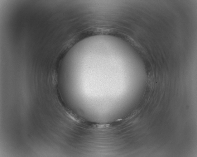 X0000071840474200606301108