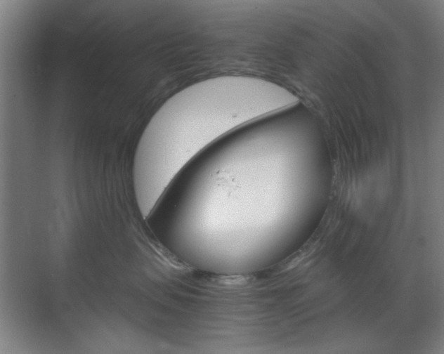 X0000071840479200606301108