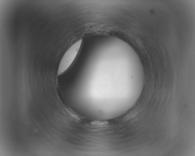 X0000071840480200606301108