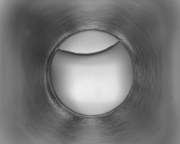 X0000071840482200606301108
