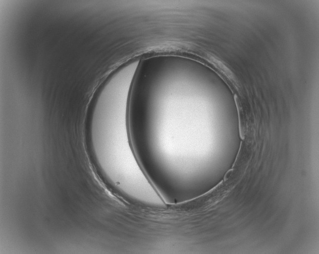 X0000071840485200606301108