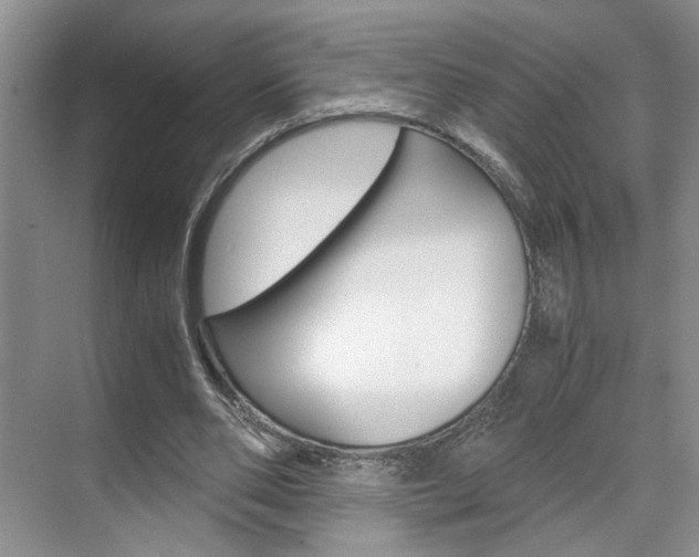 X0000071840486200606301107