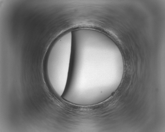 X0000071840487200606301107