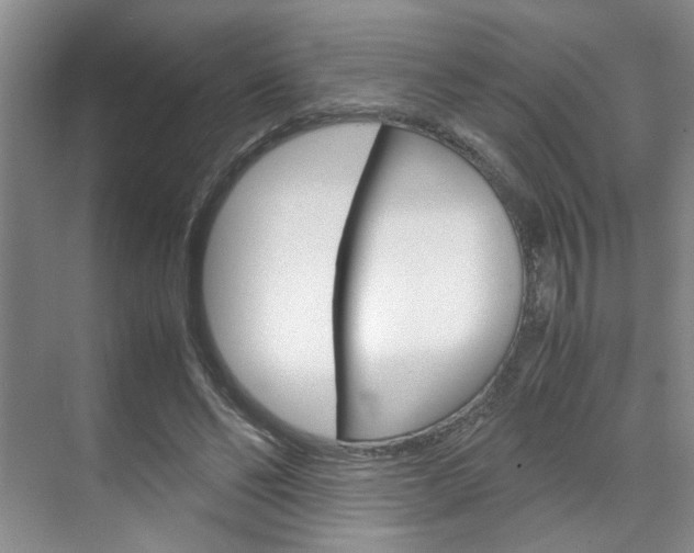 X0000071840494200606301107