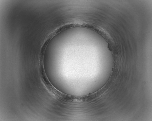 X0000071840496200606301107