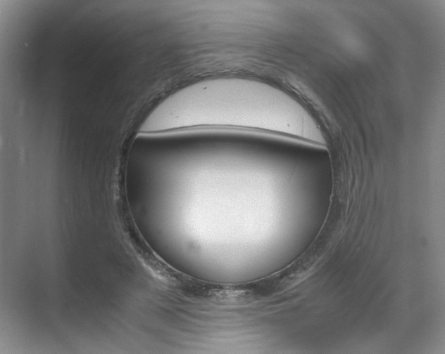 X0000071840497200606301107