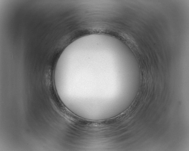 X0000071840498200606301107