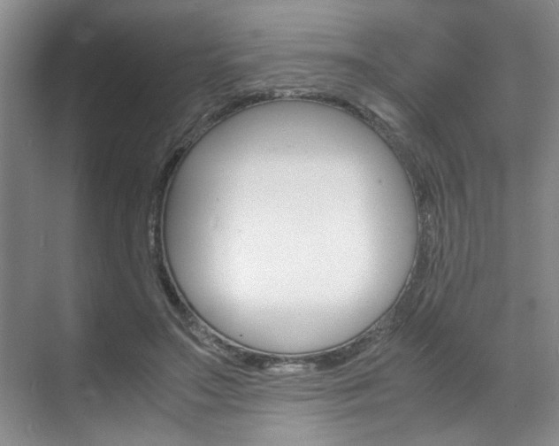 X0000071840499200606301107