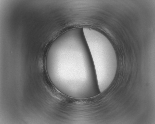 X0000071840500200606301107