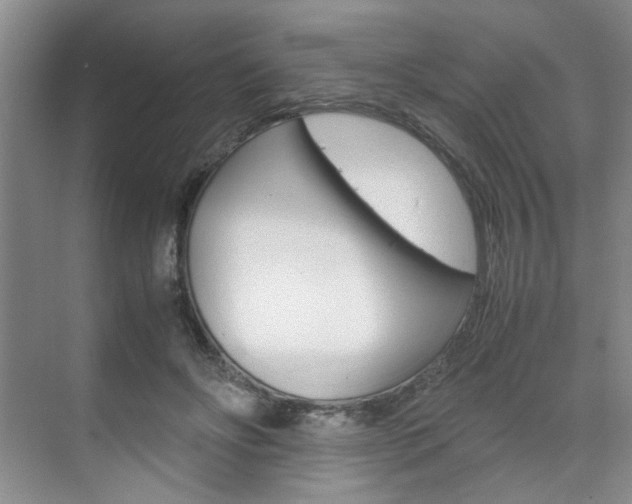 X0000071840502200606301107
