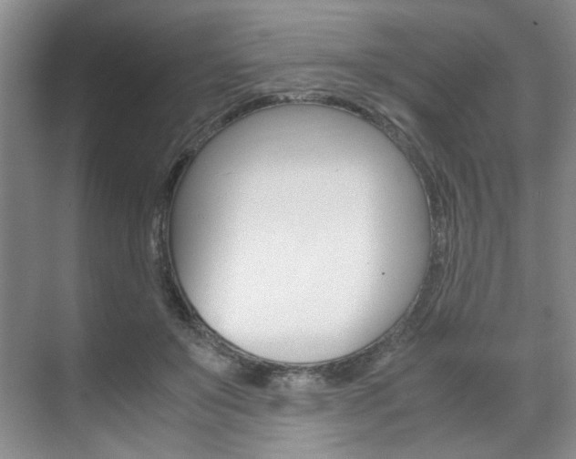 X0000071840503200606301107