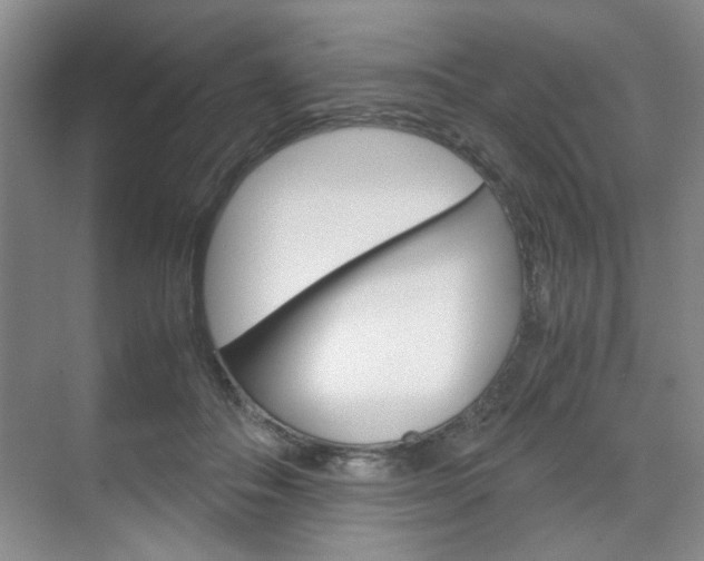 X0000071840506200606301107