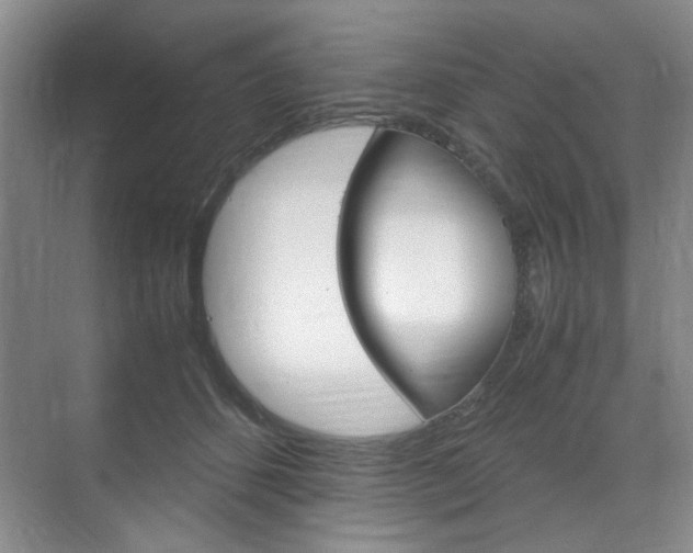X0000071840512200606301107