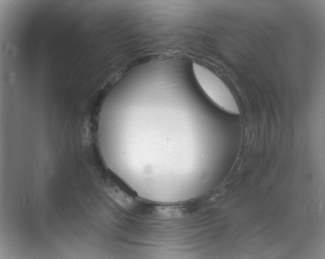 X0000071840520200606301107