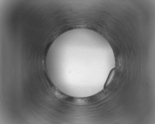 X0000071840522200606301107
