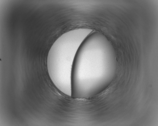 X0000071840528200606301107