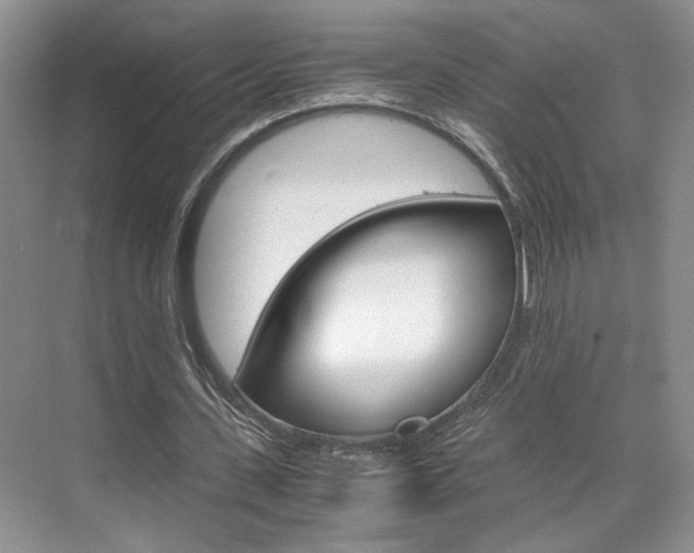 X0000071840531200606301106