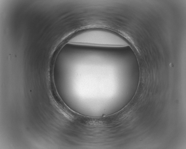 X0000071840535200606301106