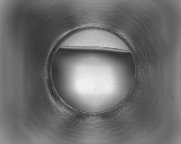 X0000071840536200606301106