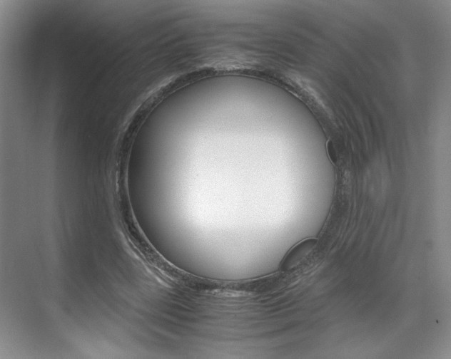 X0000071840539200606301106