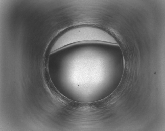 X0000071840540200606301106