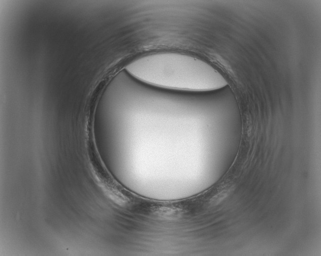 X0000071840542200606301106