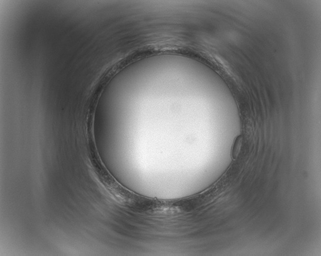 X0000071840543200606301106