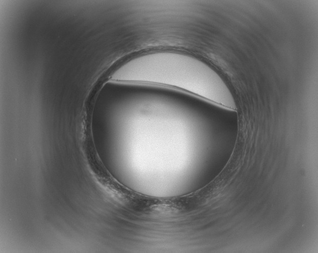 X0000071840544200606301106