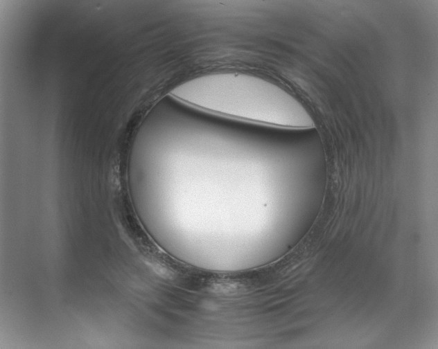 X0000071840547200606301106