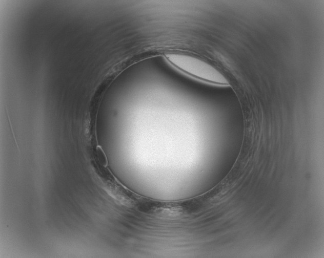 X0000071840548200606301106