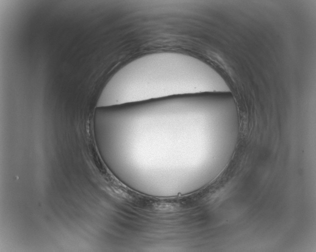 X0000071840549200606301106