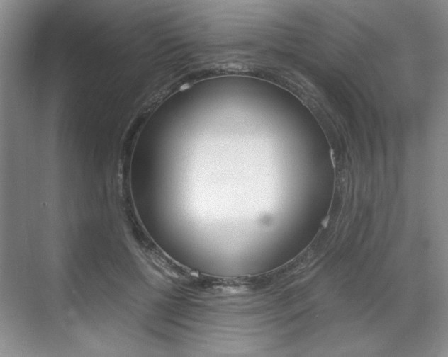 X0000071840552200606301106